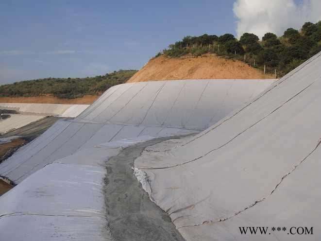 泰安润鑫 0.5mm养殖膜 厂家直供  0.35mm养殖土工膜 膨润土防水毯防渗土工膜