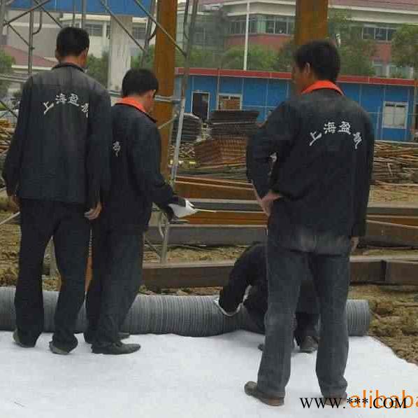 上海盈帆 **直销 GCL膨润土防水毯 防水垫 防水毡