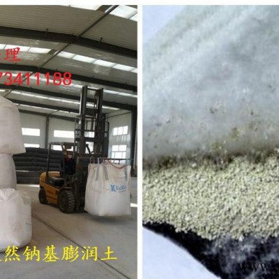 天然膨润土防水毯 高膨胀性钠基膨润土防水毯 人工湖膨润土防水