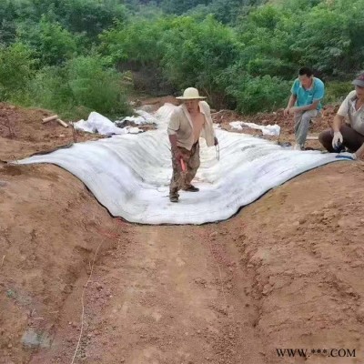 金信达膨润土防水毯  水泥毯   防水毯厂家