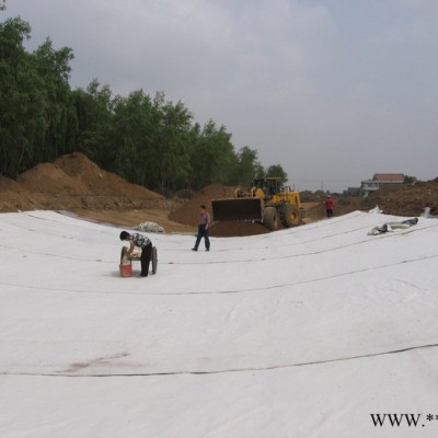 泰安路通建材有限公司钠基膨润土防水毯