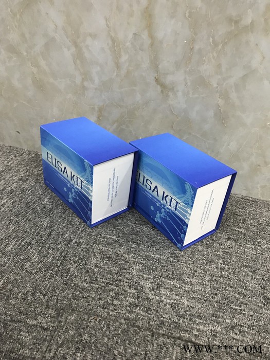 睿信生物 猪硫代巴比土酸反应物质（TBARS）ELISA试剂盒价格合理