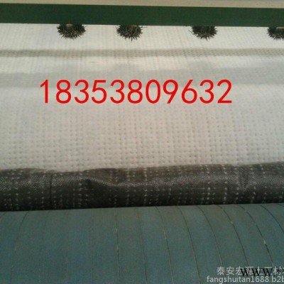 泰安膨润土防水毯生产厂家宏源