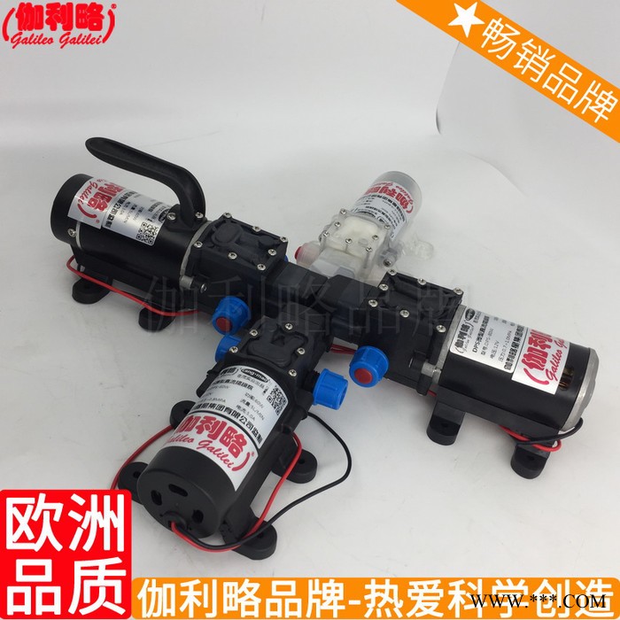微型水泵参数 高压除磷泵 手动高压水泵 琼